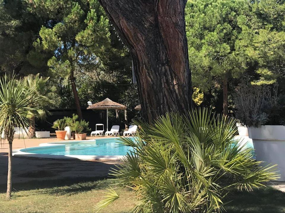 Hotel Perrozzi Vasto Kültér fotó